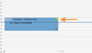 klant voorbeeld in salonhub agenda