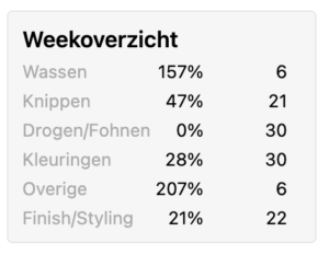 Weekoverzicht voorbeeld salonhub