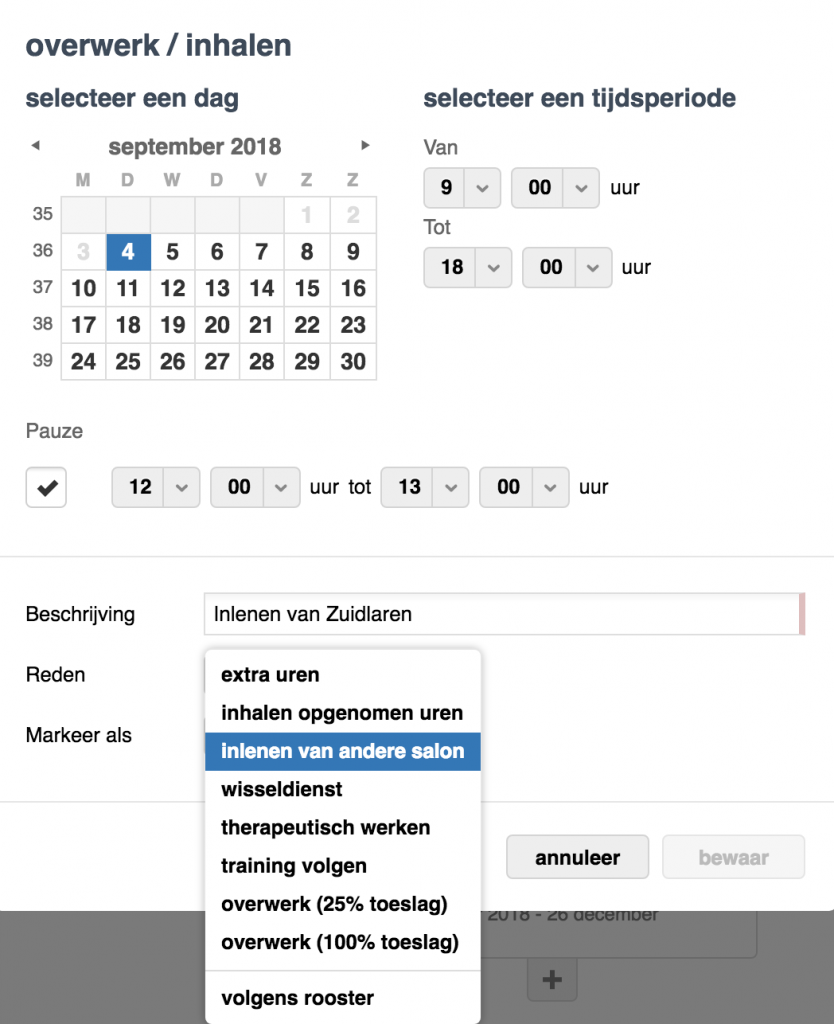 planning uitkiezen met salonhub