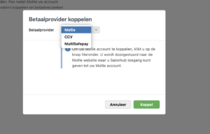 CCV online betaalmethode in salonhub